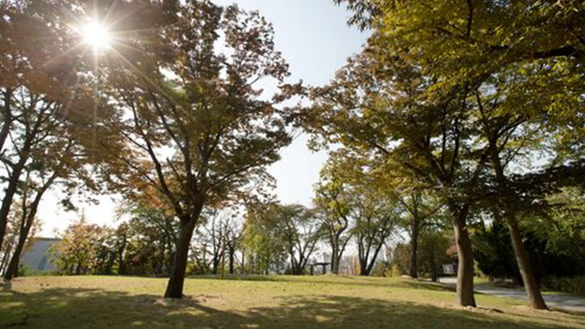 웨스턴 그레이스 호텔 인천