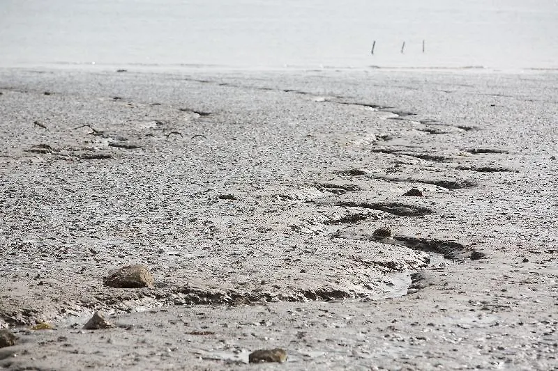 Western Grace Hotel Incheon