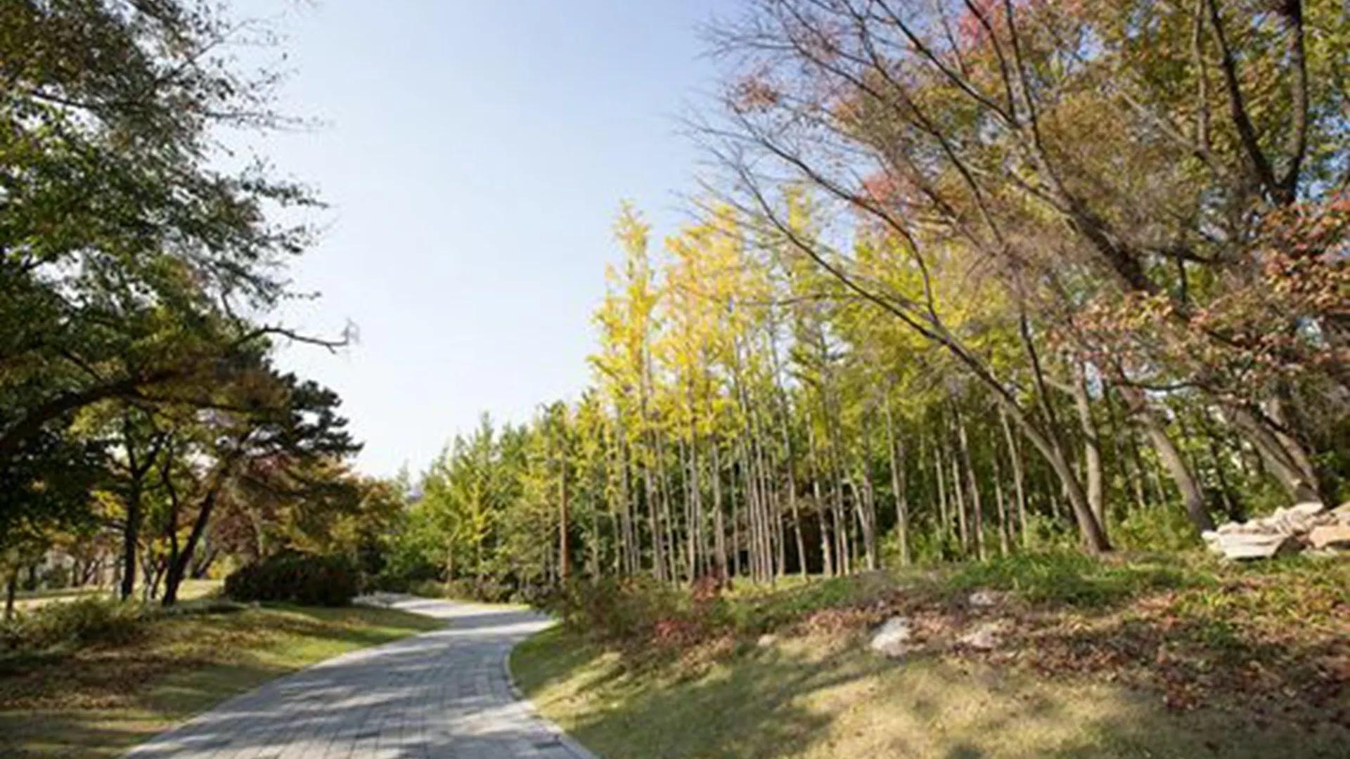 Western Grace Hotel Incheon